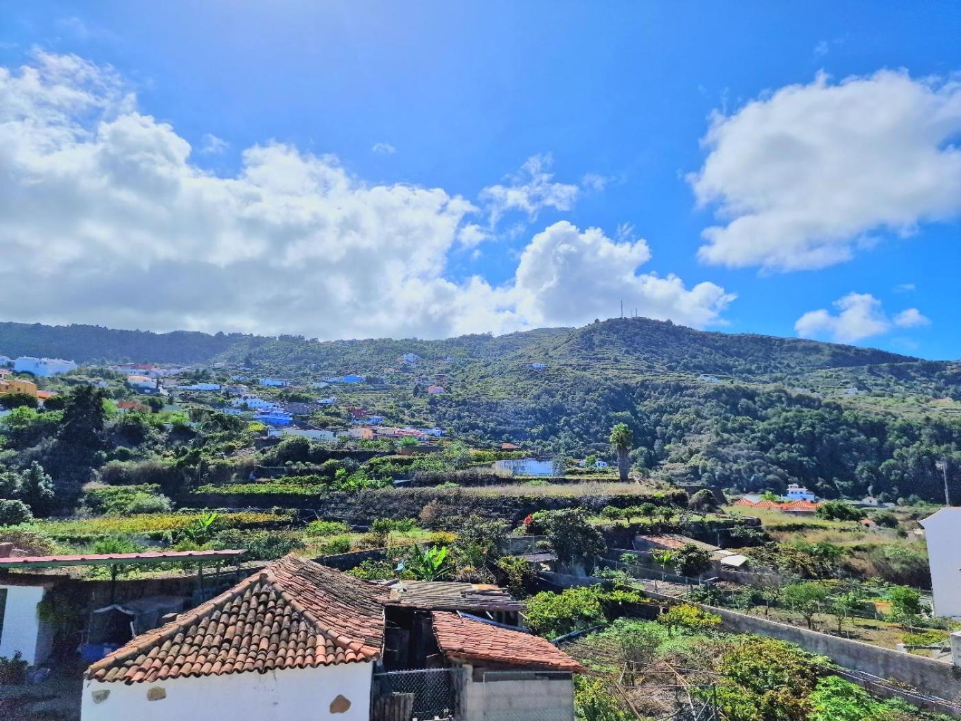 Cozy House Casa De Los Abuelos In Icod De Los Vinos By Hrtenerife Net Zewnętrze zdjęcie