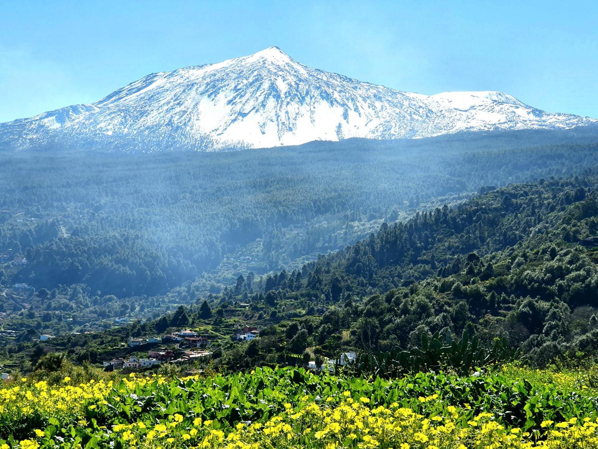 Cozy House Casa De Los Abuelos In Icod De Los Vinos By Hrtenerife Net Zewnętrze zdjęcie